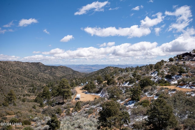 view of mountain feature