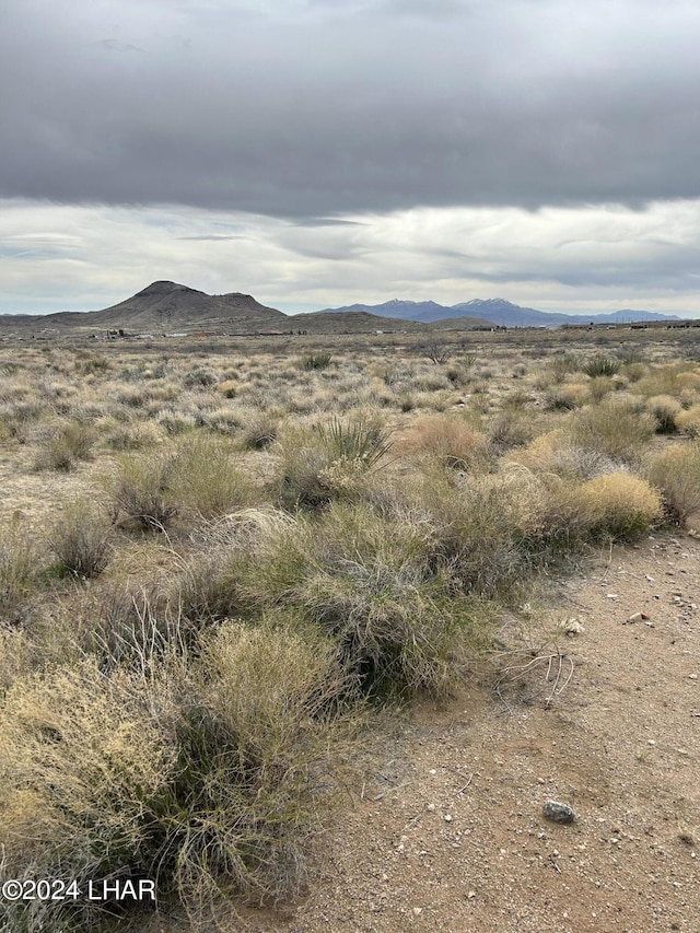 TBD E Harry Coffman Rd, Kingman AZ, 86409 land for sale