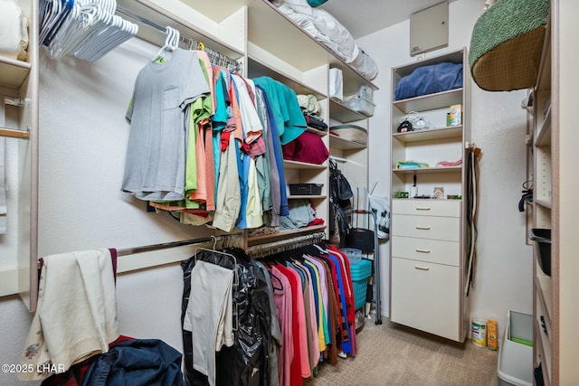 walk in closet with carpet