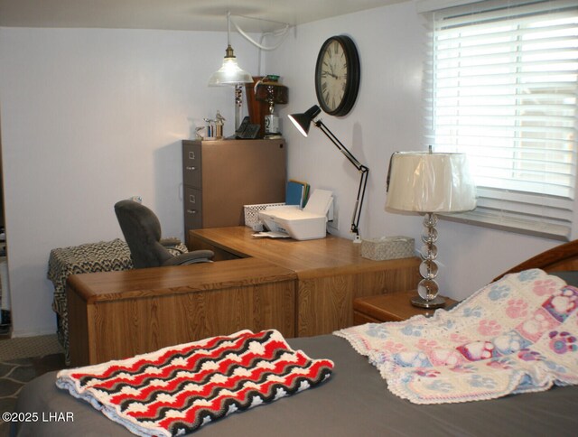 40037 Riggs Ln, Salome, AZ 85348