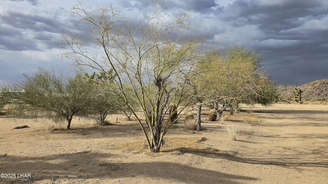 11658 Sherry Rd, Yucca, AZ 86438 - view of yard