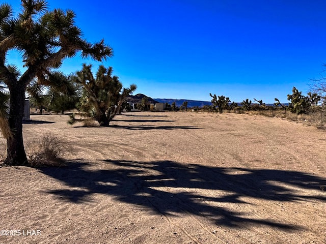 11658 Sherry Rd, Yucca, AZ 86438 - view of yard