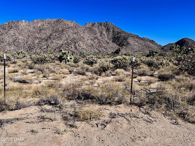 11658 Sherry Rd, Yucca, AZ 86438 - mountain view