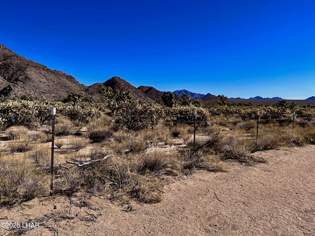 11658 Sherry Rd, Yucca, AZ 86438 - mountain view