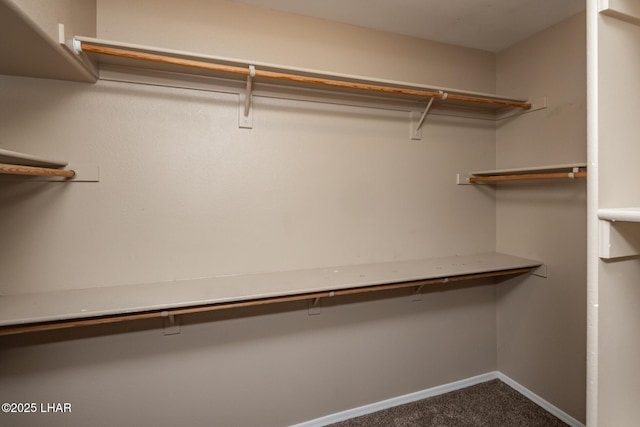 679 Apache Dr, Lake Havasu City, AZ 86406 - spacious closet with dark carpet