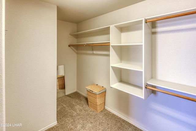 spacious closet with light colored carpet