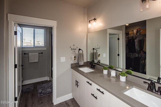 bathroom with vanity and hardwood / wood-style flooring