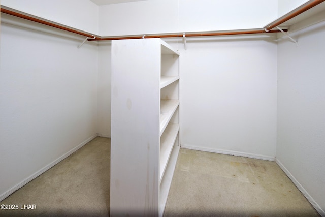 8731 Yaqui, Parker, AZ 85344 - walk in closet featuring carpet