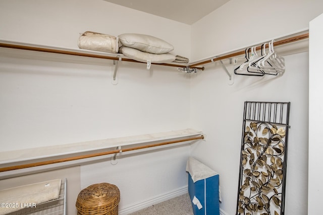 walk in closet featuring carpet floors