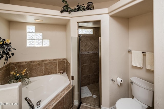 full bathroom featuring toilet, plenty of natural light, and a shower stall