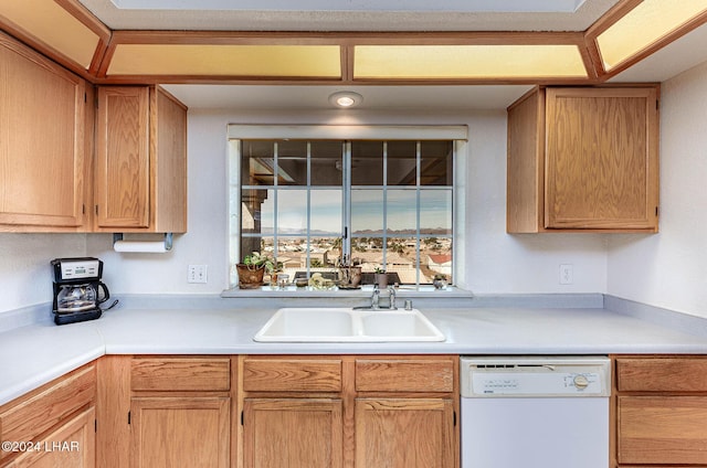 kitchen with sink and white dishwasher