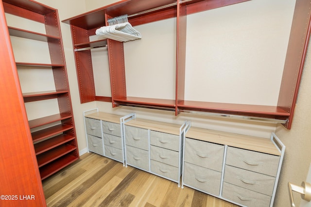 spacious closet featuring light wood-style floors