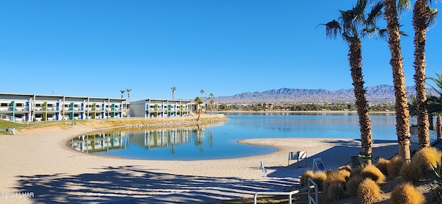 1000 Mcculloch Blvd Unit 559, Lake Havasu City, AZ 86403 - photo 19