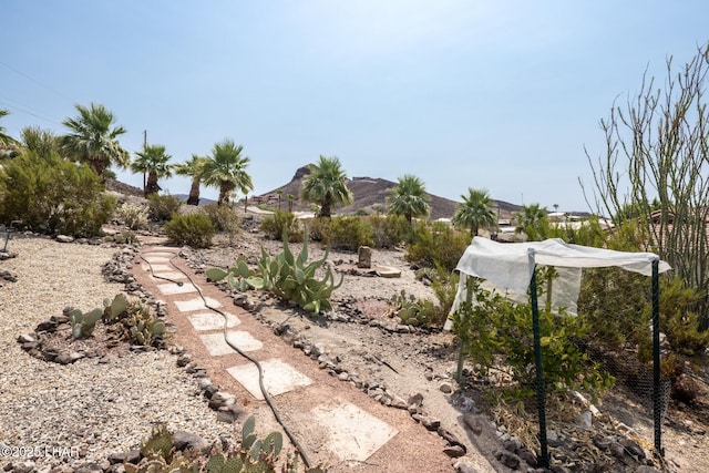4019 Black Hill Dr, Lake Havasu City, AZ 86406 - photo 49