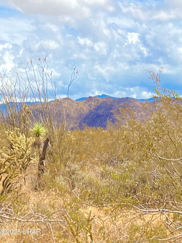 Listing photo 3 for 120ACRES S Dale Evans Rd, Yucca AZ 86438