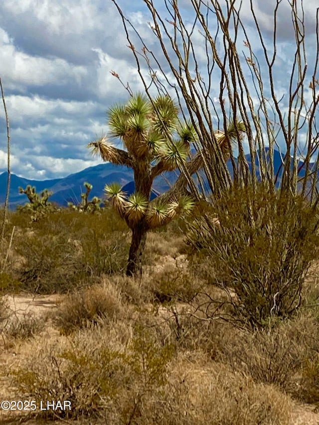 120ACRES S Dale Evans Rd, Yucca AZ, 86438 land for sale