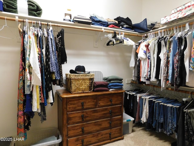 walk in closet featuring light carpet