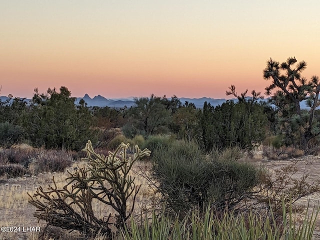 2624 S Gold Mine Rd, Yucca, AZ 86438