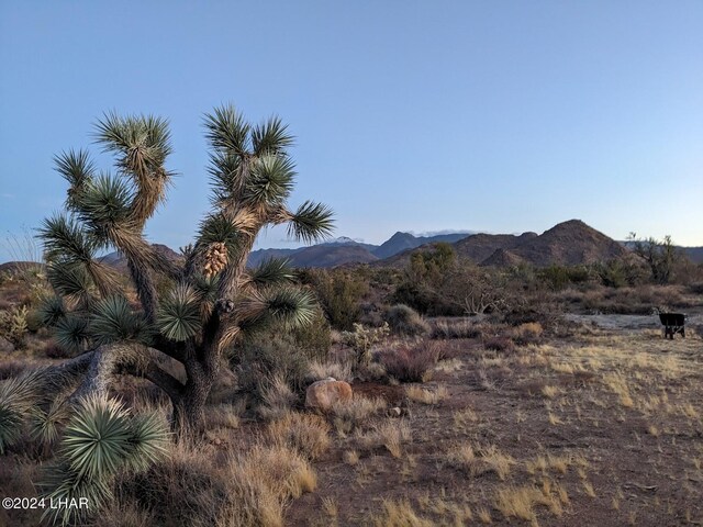2624 S Gold Mine Rd, Yucca, AZ 86438