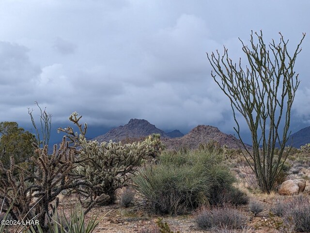 2624 S Gold Mine Rd, Yucca, AZ 86438