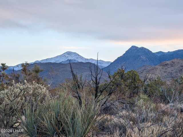 2624 S Gold Mine Rd, Yucca, AZ 86438