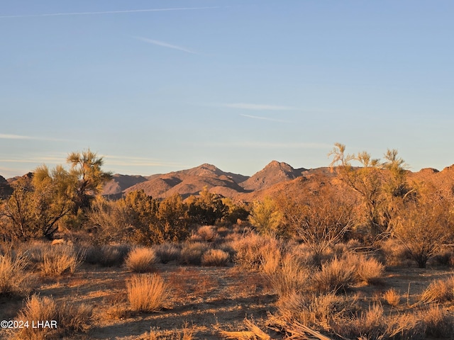 2624 S Gold Mine Rd, Yucca, AZ 86438