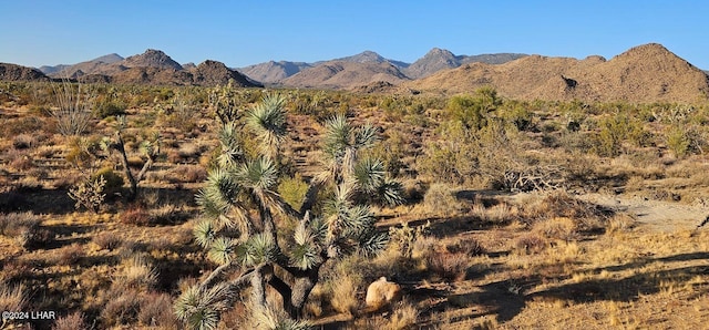 2624 S Gold Mine Rd, Yucca, AZ 86438