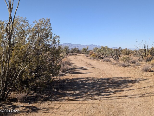 2624 S Gold Mine Rd, Yucca, AZ 86438