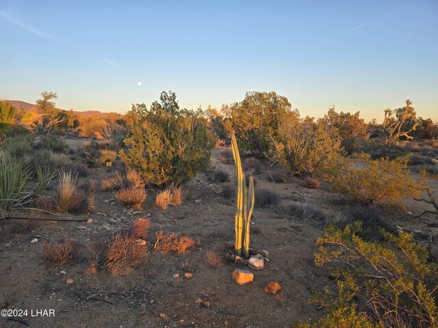 2624 S Gold Mine Rd, Yucca, AZ 86438