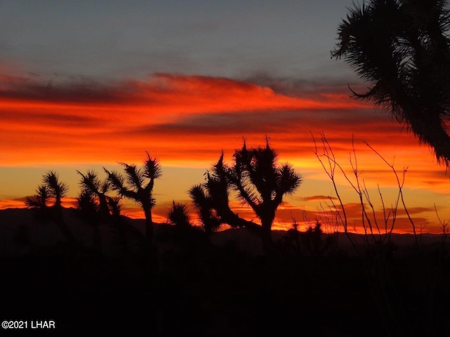 2624 S Gold Mine Rd, Yucca, AZ 86438