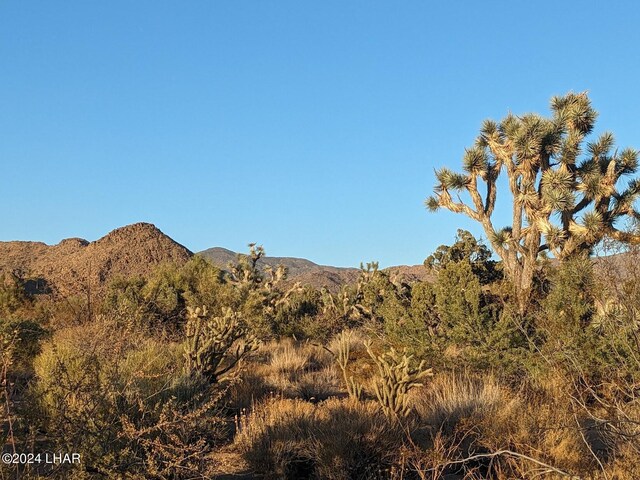 2624 S Gold Mine Rd, Yucca, AZ 86438