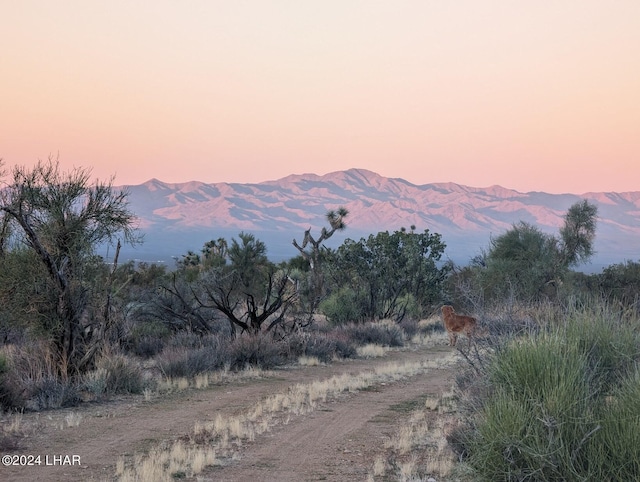 2624 S Gold Mine Rd, Yucca, AZ 86438