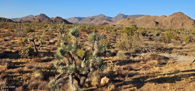 2624 S Gold Mine Rd, Yucca, AZ 86438