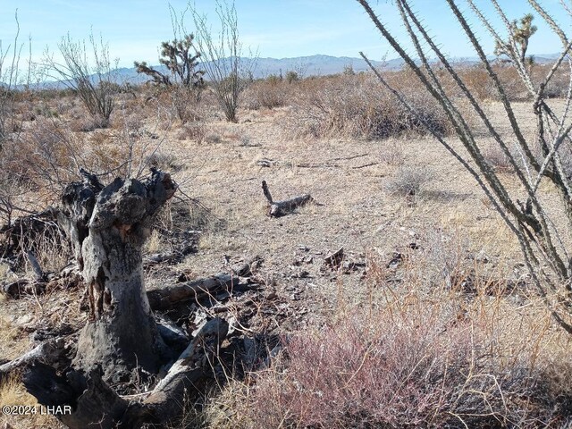 PARCEL439 S Tom Mix Rd, Yucca, AZ 86438