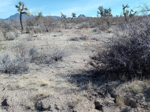 Listing photo 3 for PARCEL439 S Tom Mix Rd, Yucca AZ 86438