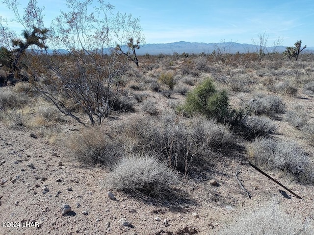PARCEL439 S Tom Mix Rd, Yucca, AZ 86438