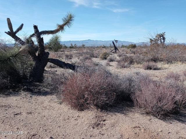 PARCEL439 S Tom Mix Rd, Yucca, AZ 86438
