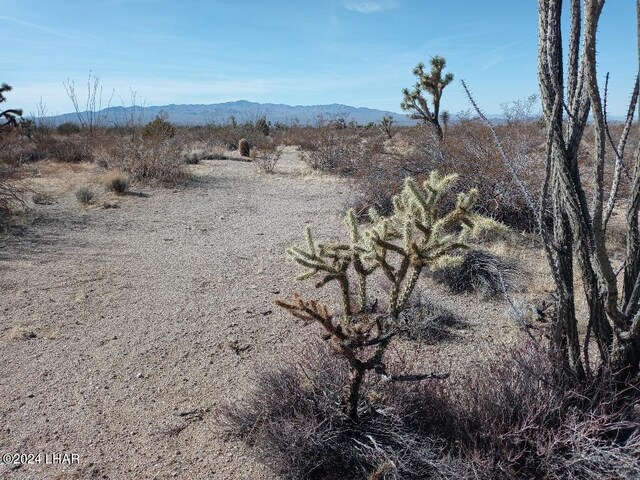 PARCEL439 S Tom Mix Rd, Yucca, AZ 86438