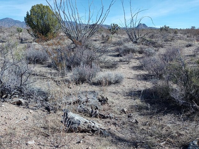 PARCEL439 S Tom Mix Rd, Yucca, AZ 86438