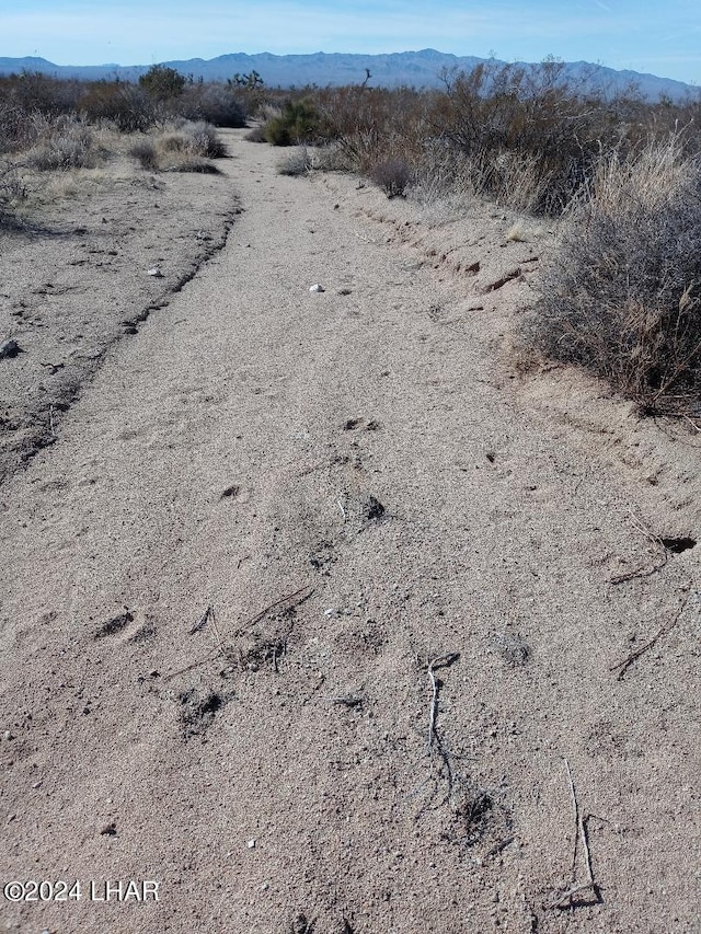 PARCEL439 S Tom Mix Rd, Yucca, AZ 86438