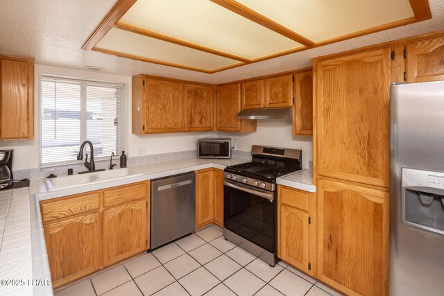 2130 Smoketree Ave N, Lake Havasu City, AZ 86403 - kitchen featuring light countertops, a sink, appliances with stainless steel finishes, and under cabinet range hood