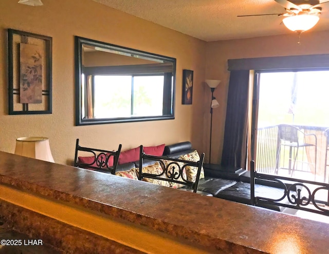 dining area with a ceiling fan, a wealth of natural light, and a textured ceiling