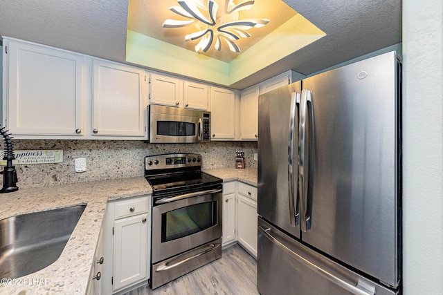 kitchen featuring light wood finished floors, a tray ceiling, appliances with stainless steel finishes, and decorative backsplash