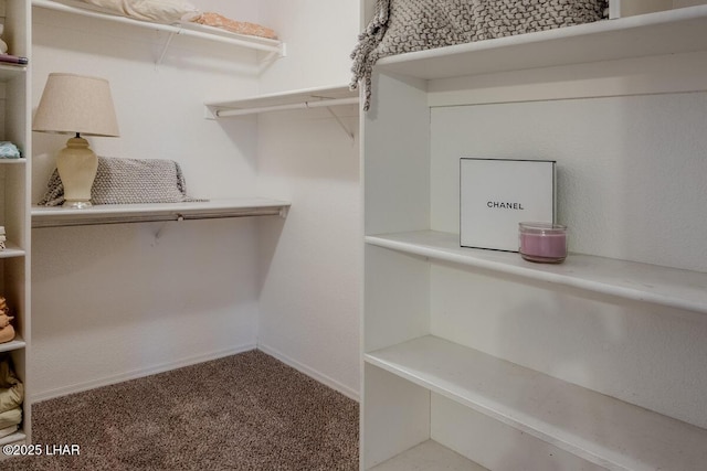 walk in closet featuring carpet flooring