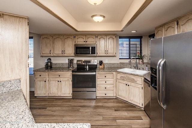 kitchen featuring sink, wood-type flooring, light brown cabinets, appliances with stainless steel finishes, and a raised ceiling