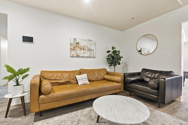 living room with hardwood / wood-style flooring