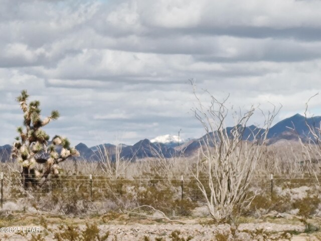 14162 Red Lake Rd, Yucca, AZ 86438