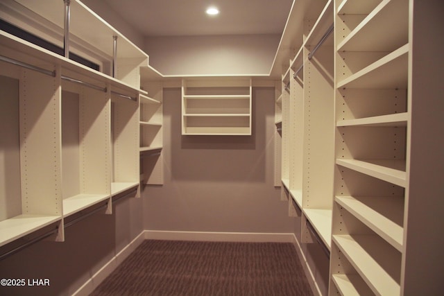 1650 Sailing Hawks Dr Unit 113, Lake Havasu City, AZ 86404 - spacious closet featuring dark carpet
