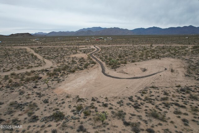 000 Alamo Rd, Yucca, AZ 86438 - photo 31
