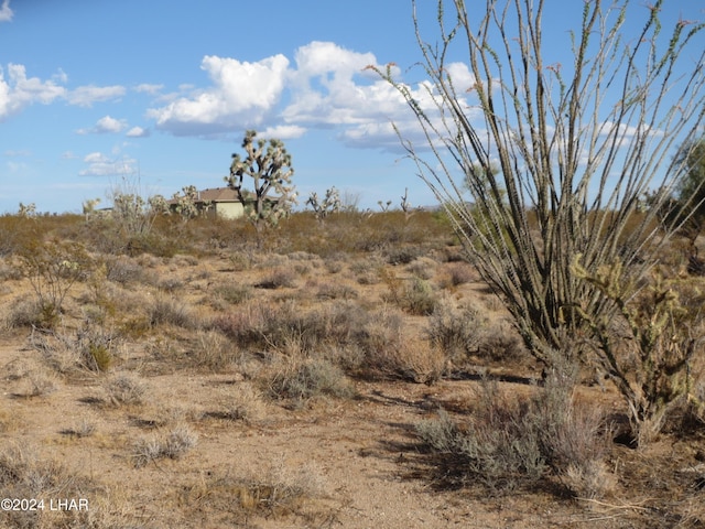 19310 S John Wayne Rd, Yucca, AZ 86438 - photo 3